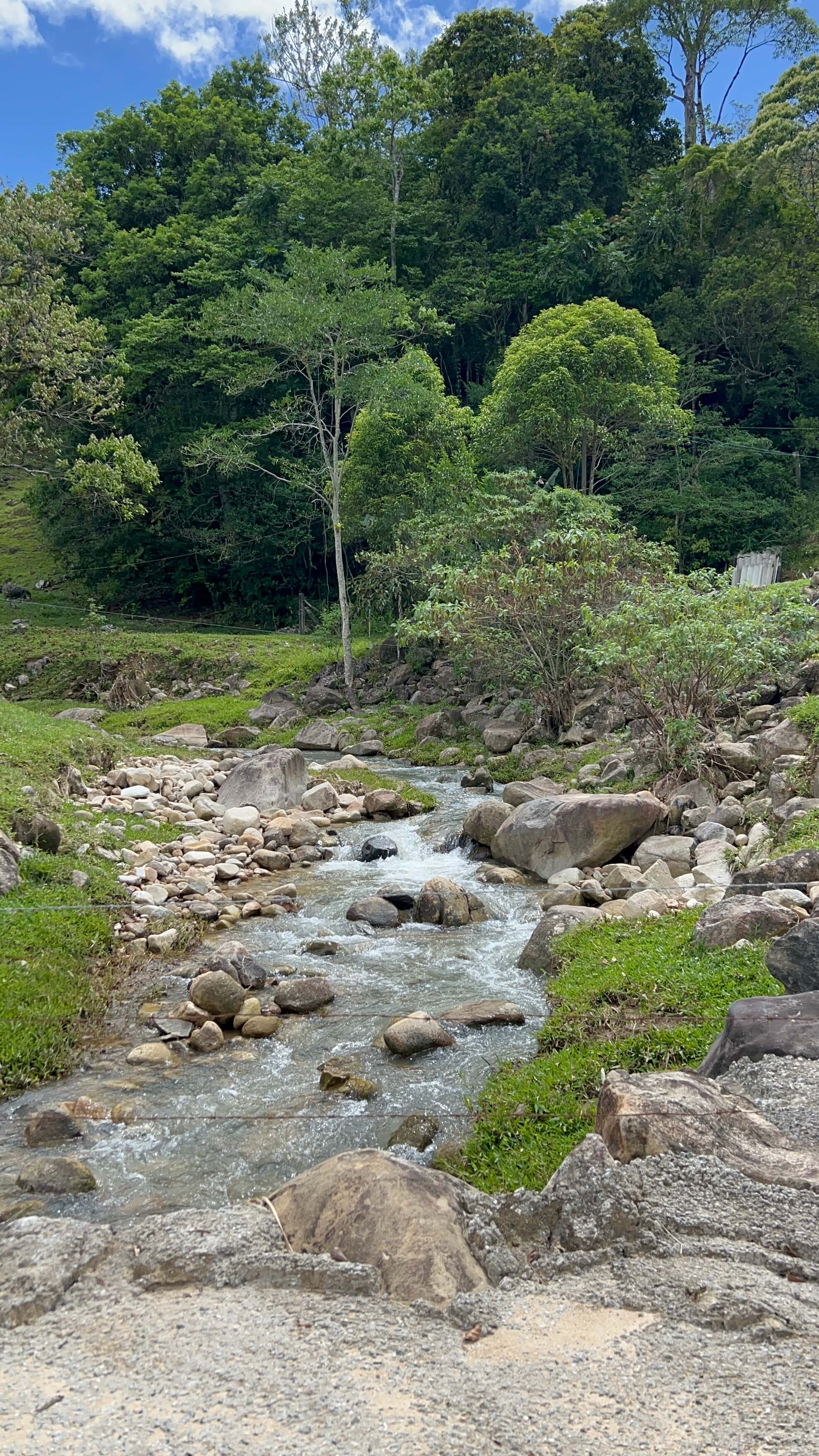 Trilhas dentro da hospedagem para fazer em família