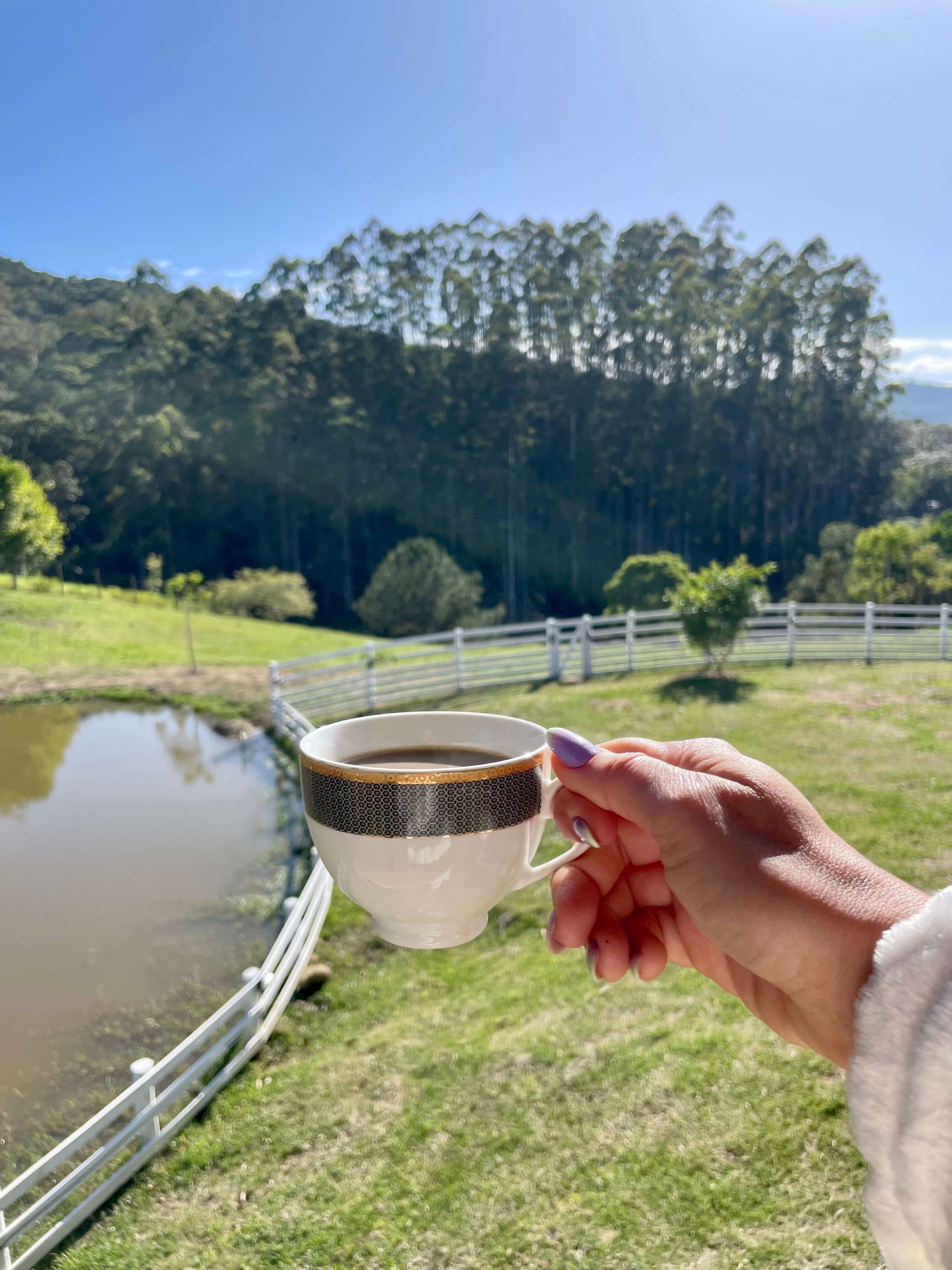 Vista do lago do airbnb para locar